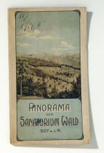 Panorama vom Sanatorium Wald