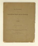 Das Wachsthum des menschlichen Nagels und des Pferdehufs