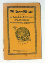 Bilder-Atlas mit annähernd 100 Heilkräuter-Abbildungen