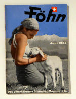 F&ouml;hn