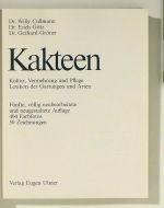 Kakteen