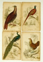 The Naturalist's Library