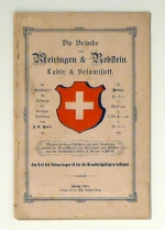 Die Br&auml;nde von Meiringen & Rebstein Ladir und Sclamisott