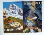 Tr&uuml;mmelbach - Scheidegg-Hotels