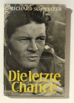 Die letzte Chance